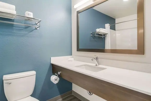 Oda, 1 Büyük (Queen) Boy Yatak, Engellilere Uygun, Sigara İçilmez (Accessible Tub)