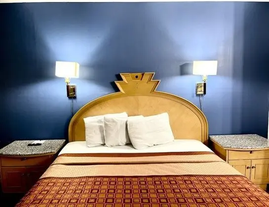 Oda, 1 En Büyük (King) Boy Yatak, Engellilere Uygun, Sigara İçilmez (Roll-In Shower)