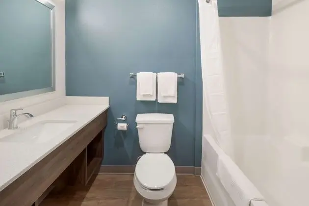 Oda, 1 Büyük (Queen) Boy Yatak, Engellilere Uygun, Sigara İçilmez (Roll-In Shower)