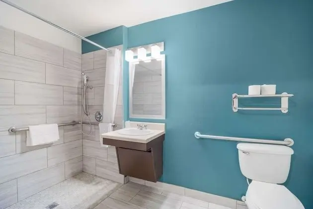 Business Oda, 1 Büyük (Queen) Boy Yatak, Engellilere Uygun, Sigara İçilmez (Roll-in Shower)