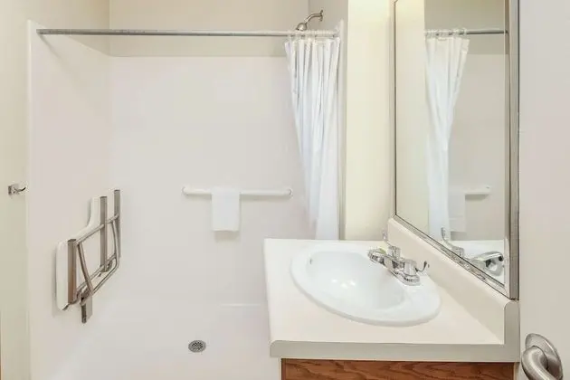 Oda, 1 Çift Kişilik Yatak, Engellilere Uygun, Sigara İçilmez (Roll-In Shower)