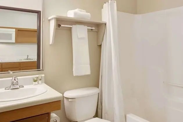 Deluxe Stüdyo Süit, 1 Büyük (Queen) Boy Yatak ve Çekyat, Engellilere Uygun, Sigara İçilmez (Bathtub)