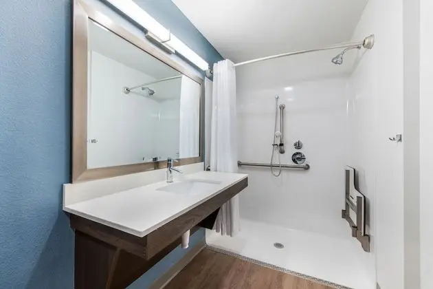 Süit, 1 Büyük (Queen) Boy Yatak, Engellilere Uygun, Sigara İçilmez (Roll-In Shower)