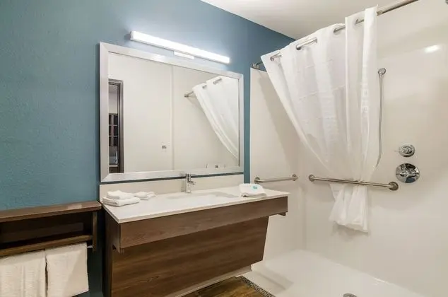 Oda, 1 En Büyük (King) Boy Yatak, Engellilere Uygun, Sigara İçilmez (Roll-In Shower)