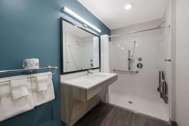 Süit, 1 En Büyük (King) Boy Yatak, Engellilere Uygun, Sigara İçilmez (Accessible Tub)