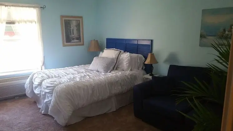 Superior Tek Kişilik Oda, 1 Büyük (Queen) Boy Yatak ve Çekyat, Buzdolabı (Greek Isles Room)