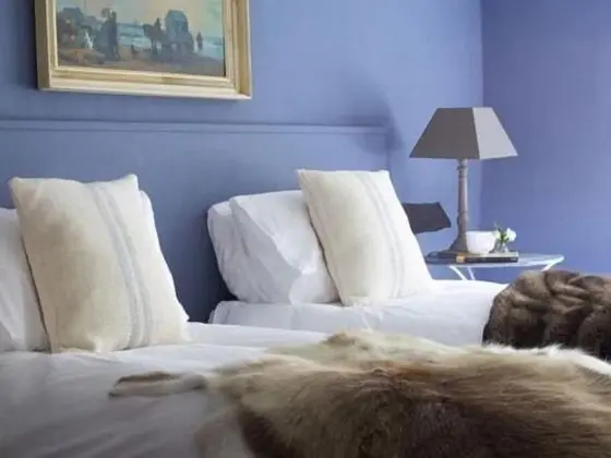 Superior Tek Büyük veya İki Ayrı Yataklı Oda (Room 5)
