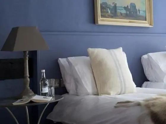 Superior Tek Büyük veya İki Ayrı Yataklı Oda (Room 5)