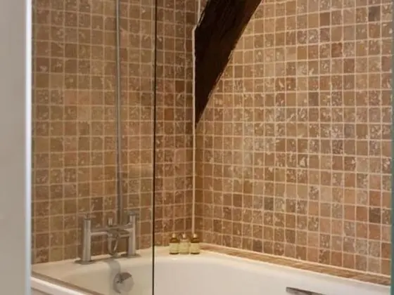 Superior Tek Büyük Yataklı Oda (with Shower- Room 3)
