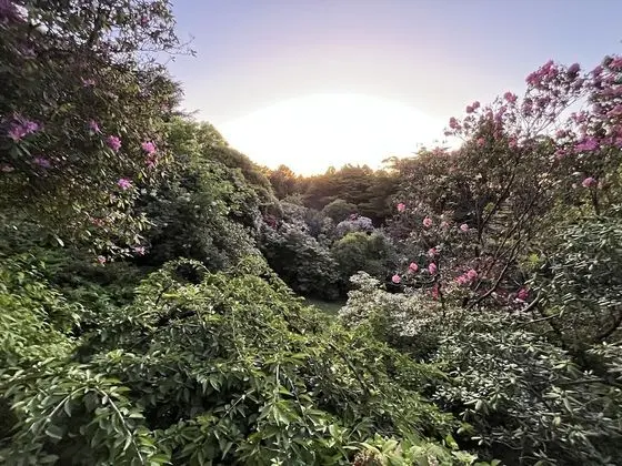 Standard Süit, 1 Yatak Odası, Sigara İçilmez, Mutfak (Garden Retreat 2 Nnghts)