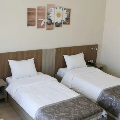 Deluxe Tek Büyük veya İki Ayrı Yataklı Oda