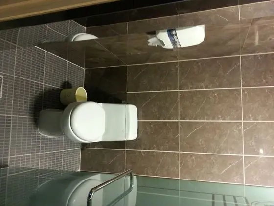 Süit