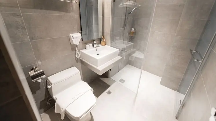 Standard Tek Büyük Yataklı Oda, 1 Büyük (Queen) Boy Yatak, Sigara İçilmez, Şehir Manzaralı