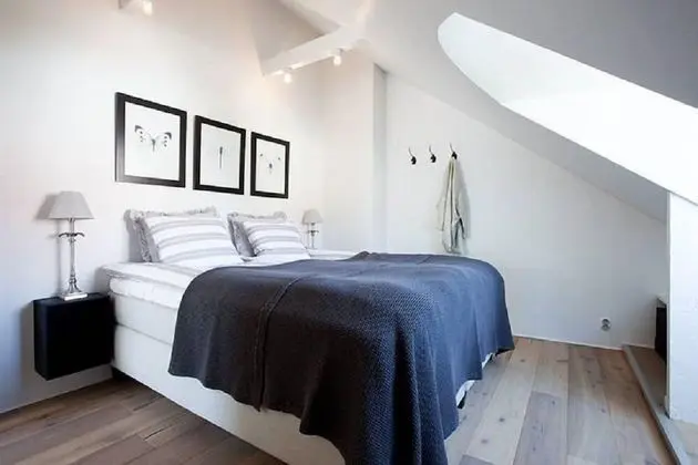 Çatı Katı Süiti (Penthouse)