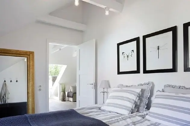 Çatı Katı Süiti (Penthouse)