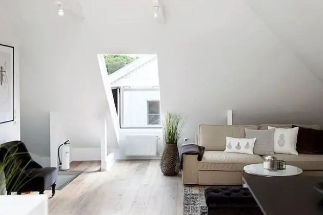 Çatı Katı Süiti (Penthouse)