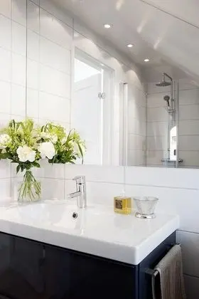 Çatı Katı Süiti (Penthouse)