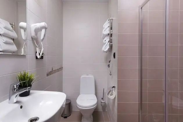 Standard Tek Büyük Yataklı Oda, 1 Büyük (Queen) Boy Yatak, Sigara İçilmez