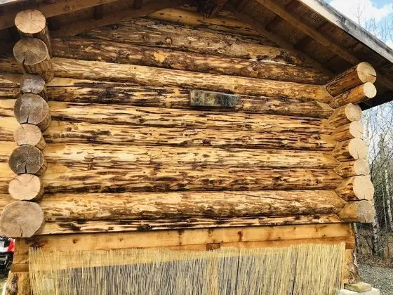 Bear Cabin, Mountain view