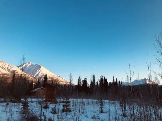 Bear Cabin, Mountain view