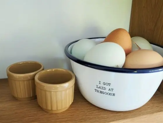 Deluxe Oda, Banyolu/Duşlu (The Wriggly Tin)