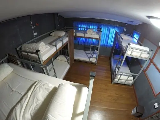 Bed in Mixed Dormitory (B)