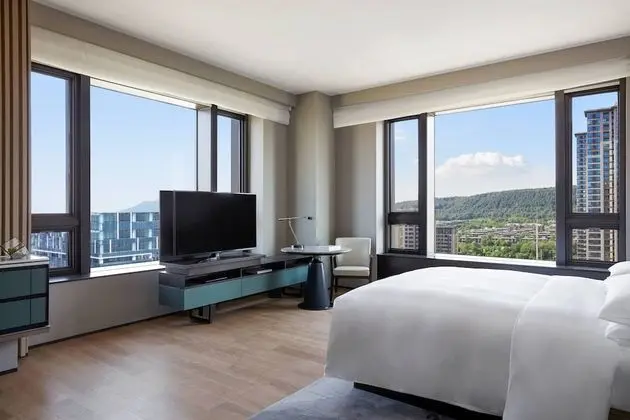 Executive Oda, 1 En Büyük (King) Boy Yatak, Şehir Manzaralı, Executive Katı