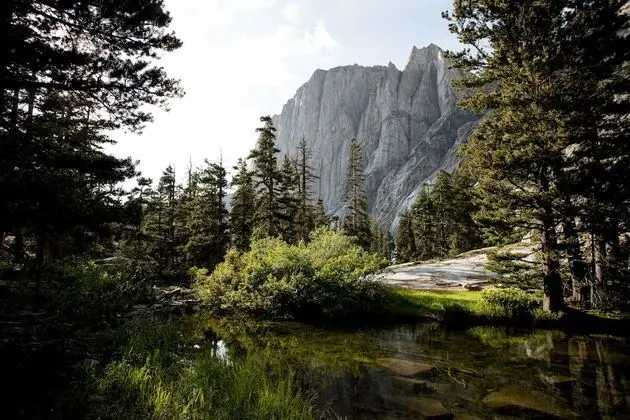 Deluxe Oda, 1 En Büyük (King) Boy Yatak