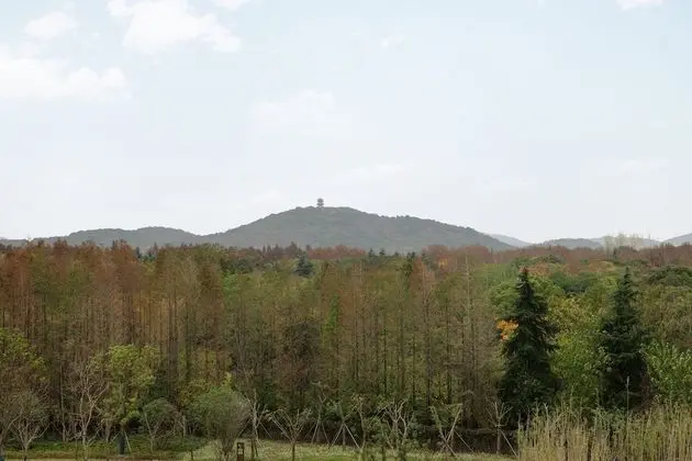 Oda, 2 Çift Kişilik Yatak