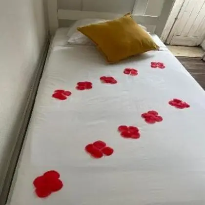 Bed İn Dormitory