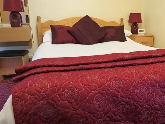 Standard Tek Büyük Yataklı Oda, Banyolu/Duşlu