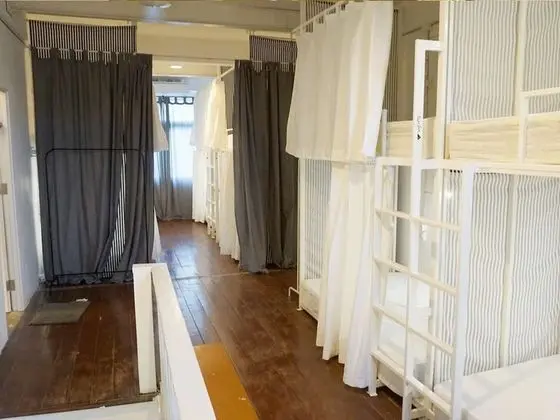12-Bed Mixed Dormitory Room
