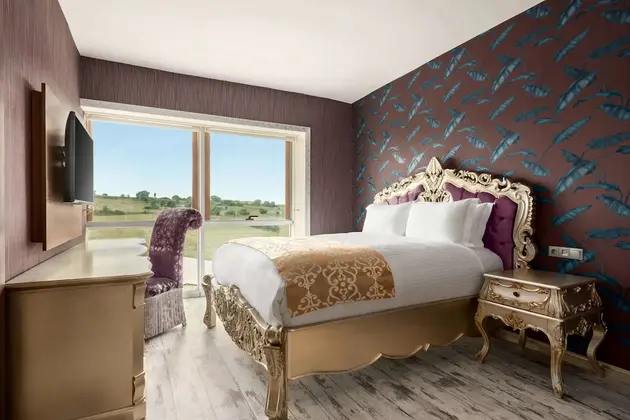 Premium Suite Oda
