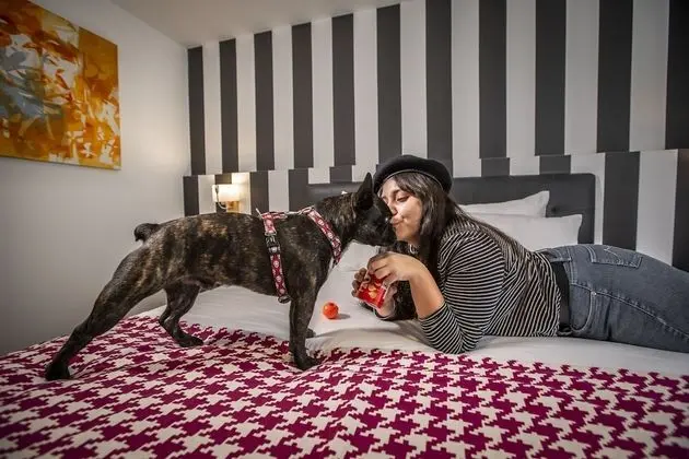 Superior Oda, 2 Tek Kişilik Yatak, Sigara İçilmez