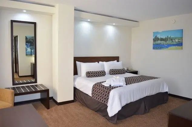 Deluxe Oda, 1 Çift Kişilik Yatak, Sigara İçilmez
