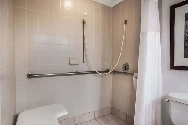 Süit, 2 Büyük (Queen) Boy Yatak, Engellilere Uygun, Sigara İçilmez (Roll-In Shower)