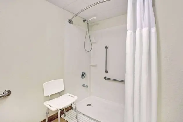 Oda, 1 Çift Kişilik Yatak, Engellilere Uygun, Sigara İçilmez (Roll-In Shower)