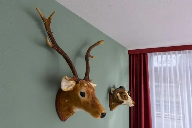 Comfort Tek Büyük Yataklı Oda