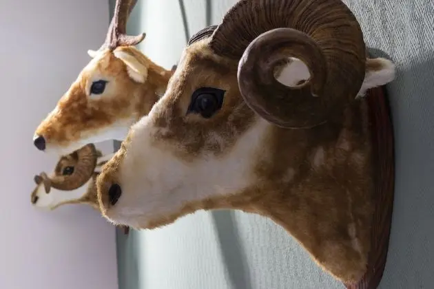 Standard Üç Kişilik Oda (2 Adults and 1 Child)