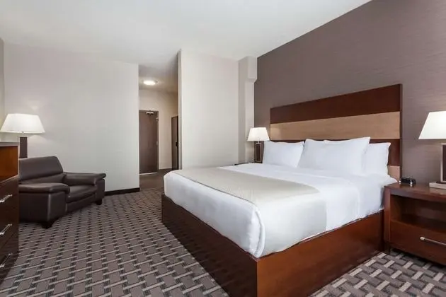 Executive Süit, 1 En Büyük (King) Boy Yatak ve Çekyat (Executive Junior Suite)