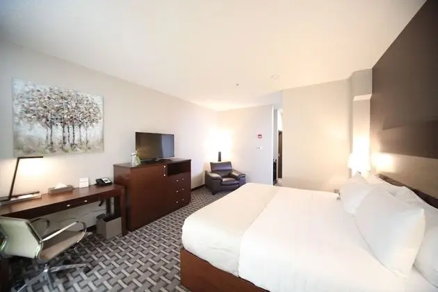 Executive Süit, 1 En Büyük (King) Boy Yatak ve Çekyat (Executive Junior Suite)