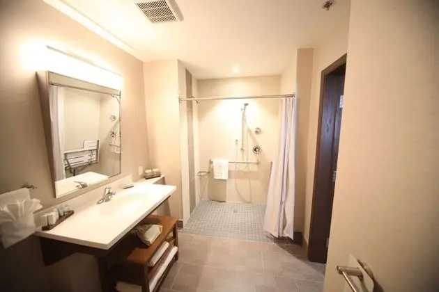Oda, 1 En Büyük (King) Boy Yatak, Engellilere Uygun (Roll In Shower)