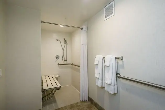 Oda, 1 Büyük (Queen) Boy Yatak, Engellilere Uygun, Sigara İçilmez (Mobility, Roll-In Shower)