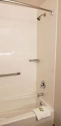 Süit, 1 Yatak Odası, Sigara İçilmez