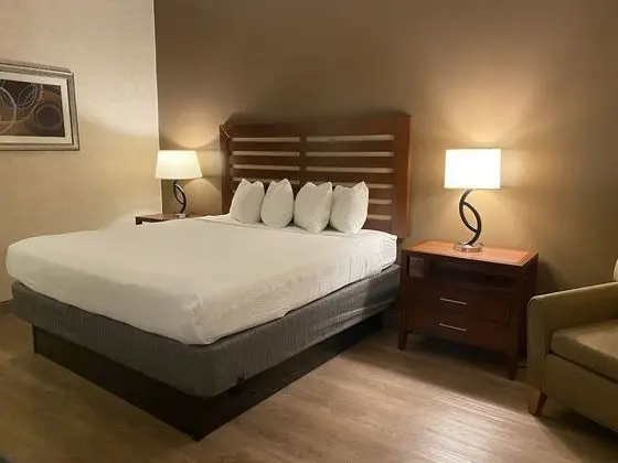 Oda, 1 En Büyük (King) Boy Yatak (Spacious)