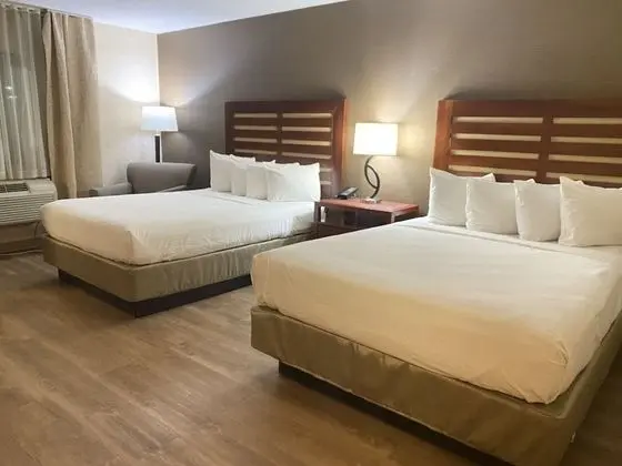 Oda, 2 Büyük (Queen) Boy Yatak, Engellilere Uygun