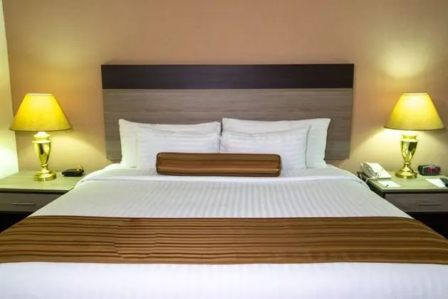 Standard Oda, 1 Çift Kişilik Yatak (Dog Friendly)