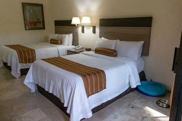 Standard Oda, 1 Çift Kişilik Yatak (Dog Friendly)