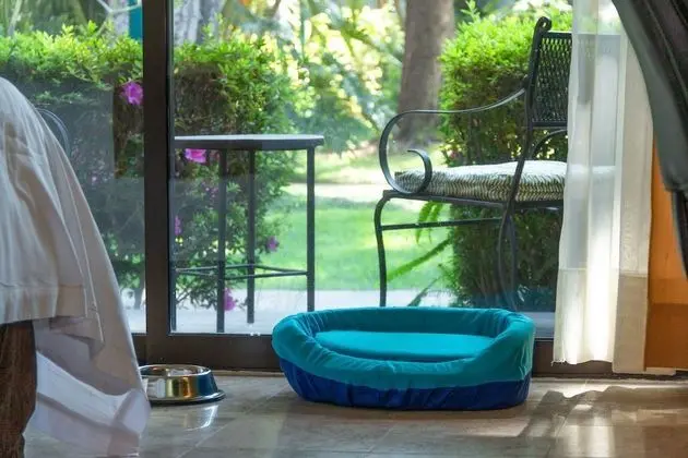 Standard Oda, 1 En Büyük (King) Boy Yatak (Dog Friendly)