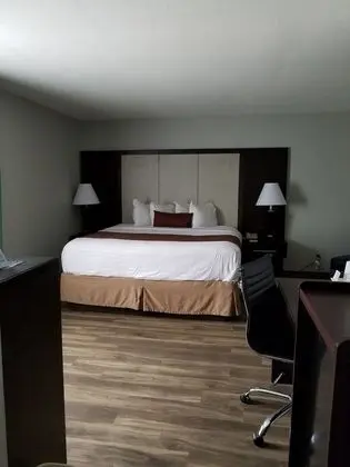 Premium Oda, 1 En Büyük (King) Boy Yatak, Sigara İçilmez